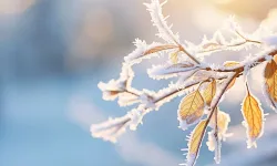 Meteoroloji’den kar ve sağanak alarmı