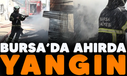 Bursa'da ahırda yangın