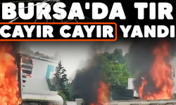 Bursa'da tır cayır cayır yandı