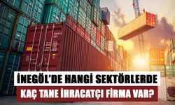 İNEGÖL’DE HANGİ SEKTÖRLERDE KAÇ TANE İHRACATÇI FİRMA VAR?