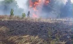 Bursa'da makilik alanda yangın