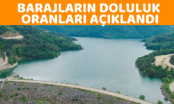 Baraj doluluk oranlarımız ne kadar?