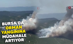 Bursa'daki orman yangınına müdahale artıyor