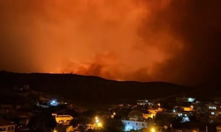 Diyarbakır ve Mardin arasındaki anız yangınında can kaybı artıyor