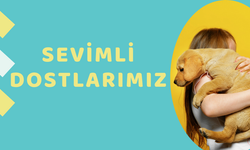 Dünyanın En Sevimli ve Sadık Dostları