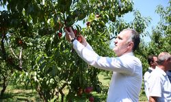 İNEGÖL'ÜN MARKASI DÜNYA PAZARINDA TANITILIYOR