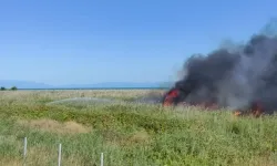 Bursa'da sazlık alanda yangın