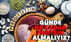 Günde ne kadar protein almalıyız?