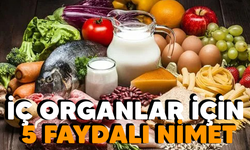 İç Organlar için 5 faydalı nimet