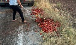 İtfaiye erleri, Manisa'da yola saçılan domatesleri temizledi