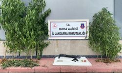 İnegöl Jandarmasından uyuşturucu operasyonu