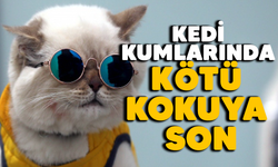 Kedi Kumları Neden Kokar ve Kokusuz Kedi Kumları