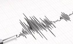 Gece saatlerinde deprem: Van sallandı