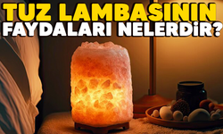 Tuz Lambasının Faydaları Nelerdir?