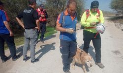 Bursa'da bir haftadır kayıp olan şahsı arama çalışmaları sürüyor