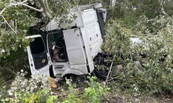 Anadolu Otoyolu’nda kontrolden çıkan tır, ağaca çarparak durabildi: 1 yaralı