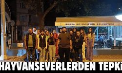 İnegöl'de hayvanseverlerden tepki - Bursa İnegöl Haberleri