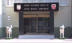 ASKERİ VETERİNER OKULU VE EĞİTİM MERKEZ KOMUTANLIĞI TARAFINDAN VETERİNER AŞI VE İLAÇ ALIMI YAPILACAK