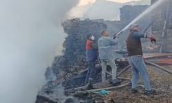 Kütahya’daki yangında ev ve hayvan barınakları kül oldu