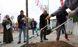 Arnavutköy’de doğan her çocuk için bir ağaç yetişecek