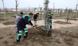 167 Fidan Engelliler İçin Toprakla Buluştu