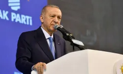 Erdoğan tek tek açıkladı