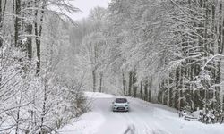 Kar yağışı nedeniyle okulların tatil edildiği iller