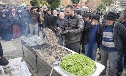 Bursa’daki Hamsi Festivali'ne yoğun ilgi