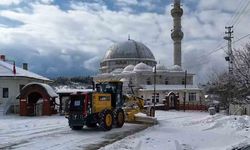 Bilecik’te ekipler tuzlama çalışması yaptı