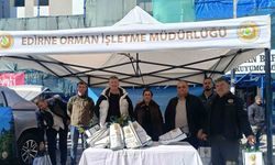 Edirne’de çam fidanı dağıtıldı