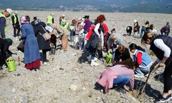 Edremit’te "Aile Yılı" kapsamında lavanta fidanı dikildi