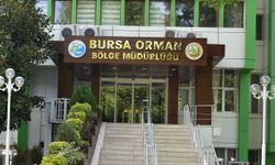 BURSA ORMAN BÖLGE MÜDÜRLÜĞÜ TARAFINDAN MAKİNELİ ARAZİ HAZIRLIĞI HİZMETİ ALINACAK