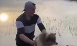 İnegöl'de köpeği baraja atan şahıs yakalandı