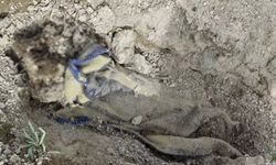 Battaniyeye sarılı şeyi görünce gözlerine inanamadı!