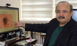 Kene vakalarında yanlış müdahaleler ölümcül olabilir