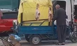 Burası Hindistan değil Türkiye: İşte o rezalet görüntüler...