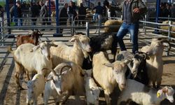 Komşu ilde 15 mahalle karantinaya alındı