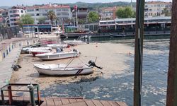 Marmara'da Müsilaj Balıkçıları Zorluyor