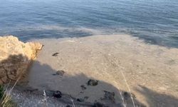 Bursa'da müsilaj vatandaşları tedirgin etmeye devam ediyor
