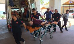 Sürücüler arasında "küfür" tartışması kanlı bitti