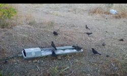Suluklar, sıcak havalarda yaban hayatının can damarı oldu
