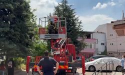 Bursa'da ağaçta mahsur kalan kedileri itfaiye kurtardı