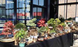 Doğa ve sanat tutkunları bonsai sanatı ile tanıştı