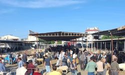 Havran’da Kurban Bayramı öncesi hayvan pazarı denetlendi