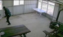 Zavallı köpeğe dehşeti yaşattı
