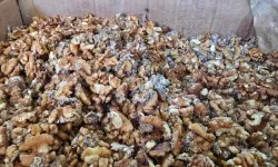 Depoda Kurtlu Ceviz Skandalı Ünlü Baklavacıdan Çelişkili Açıklamalar