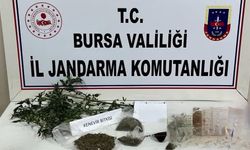 İnegöl'de Jandarmadan ani baskın İşyerinde yetiştirirken yakalandı