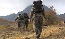 Terör örgütü PKK kongrenin toplandığını duyurdu