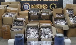 İstanbul'da 15 ton bonzai ham maddesi ele geçirildi