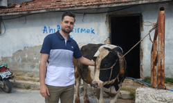 Sosyal medyada gördüğü kurbanlık danaları almak isterken 200 bin TL dolandırıldı